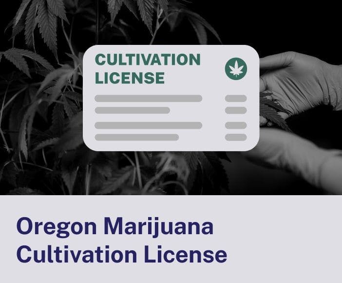 Oregon Marijuana Cultivation License